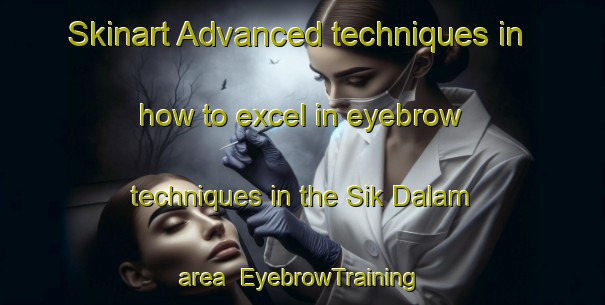 Skinart Advanced techniques in how to excel in eyebrow techniques in the Sik Dalam area | EyebrowTraining | EyebrowClasses | SkinartTraining-Malaysia