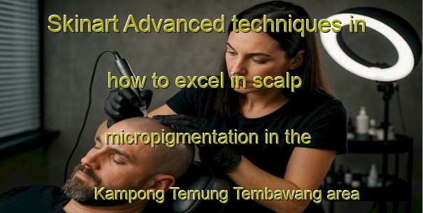 Skinart Advanced techniques in how to excel in scalp micropigmentation in the Kampong Temung Tembawang area | SmpTraining | SmpClasses | SkinartTraining-Malaysia