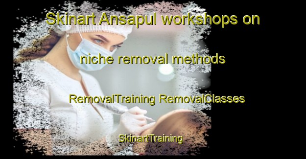 Skinart Ansapul workshops on niche removal methods | #RemovalTraining #RemovalClasses #SkinartTraining-Malaysia