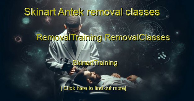 Skinart Antek removal classes | #RemovalTraining #RemovalClasses #SkinartTraining-Malaysia