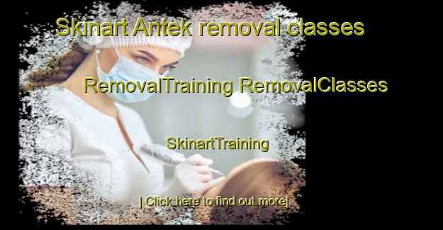 Skinart Antek removal classes | #RemovalTraining #RemovalClasses #SkinartTraining-Malaysia