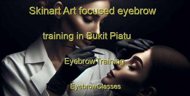 Skinart Art-focused eyebrow training in Bukit Piatu | EyebrowTraining | EyebrowClasses | SkinartTraining-Malaysia