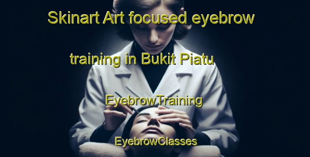 Skinart Art-focused eyebrow training in Bukit Piatu | EyebrowTraining | EyebrowClasses | SkinartTraining-Malaysia