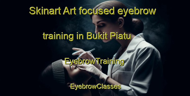 Skinart Art-focused eyebrow training in Bukit Piatu | EyebrowTraining | EyebrowClasses | SkinartTraining-Malaysia