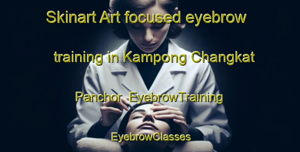 Skinart Art-focused eyebrow training in Kampong Changkat Panchor | EyebrowTraining | EyebrowClasses | SkinartTraining-Malaysia