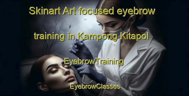 Skinart Art-focused eyebrow training in Kampong Kitapol | EyebrowTraining | EyebrowClasses | SkinartTraining-Malaysia