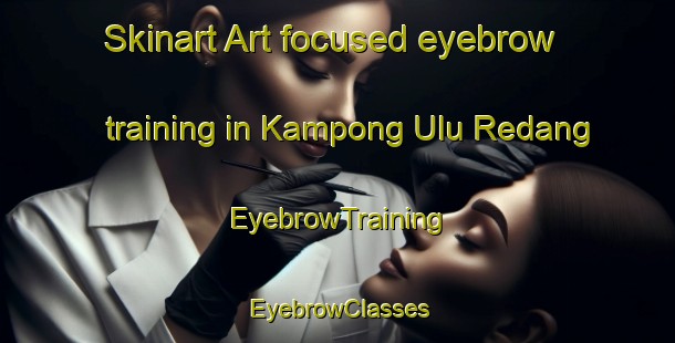 Skinart Art-focused eyebrow training in Kampong Ulu Redang | EyebrowTraining | EyebrowClasses | SkinartTraining-Malaysia