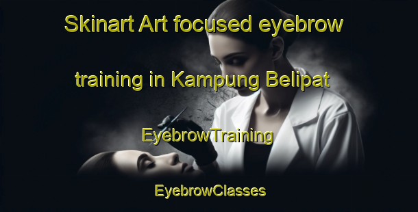 Skinart Art-focused eyebrow training in Kampung Belipat | EyebrowTraining | EyebrowClasses | SkinartTraining-Malaysia