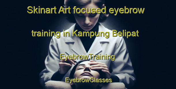 Skinart Art-focused eyebrow training in Kampung Belipat | EyebrowTraining | EyebrowClasses | SkinartTraining-Malaysia