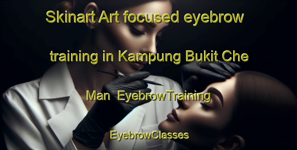Skinart Art-focused eyebrow training in Kampung Bukit Che Man | EyebrowTraining | EyebrowClasses | SkinartTraining-Malaysia