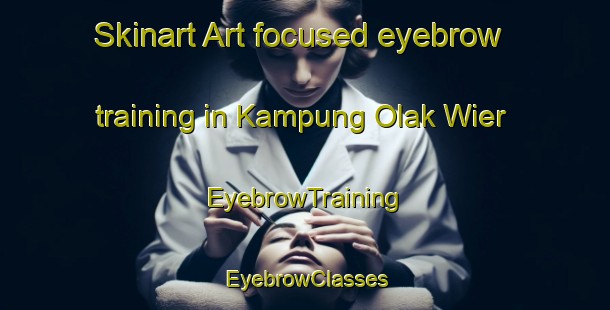 Skinart Art-focused eyebrow training in Kampung Olak Wier | EyebrowTraining | EyebrowClasses | SkinartTraining-Malaysia