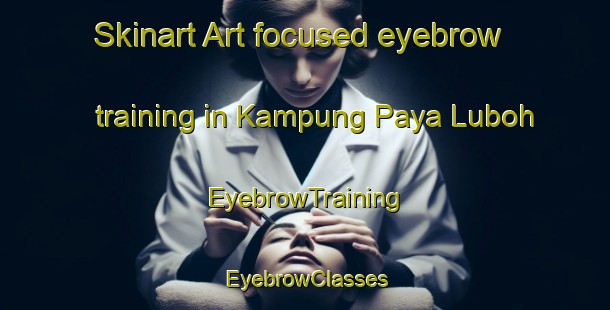 Skinart Art-focused eyebrow training in Kampung Paya Luboh | EyebrowTraining | EyebrowClasses | SkinartTraining-Malaysia