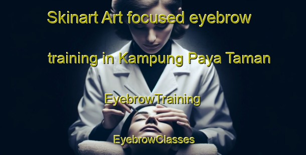 Skinart Art-focused eyebrow training in Kampung Paya Taman | EyebrowTraining | EyebrowClasses | SkinartTraining-Malaysia