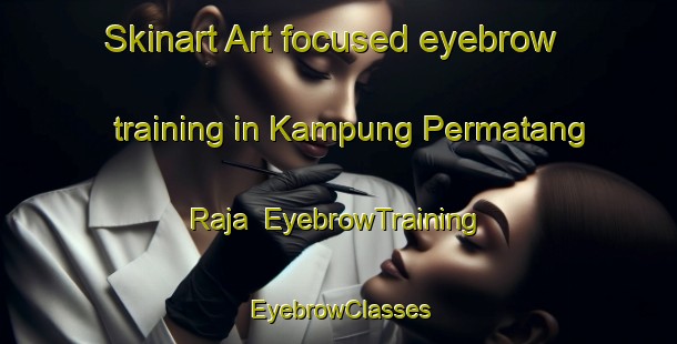 Skinart Art-focused eyebrow training in Kampung Permatang Raja | EyebrowTraining | EyebrowClasses | SkinartTraining-Malaysia