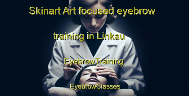 Skinart Art-focused eyebrow training in Linkau | EyebrowTraining | EyebrowClasses | SkinartTraining-Malaysia