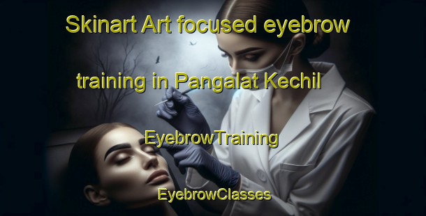 Skinart Art-focused eyebrow training in Pangalat Kechil | EyebrowTraining | EyebrowClasses | SkinartTraining-Malaysia