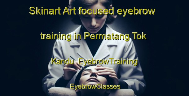 Skinart Art-focused eyebrow training in Permatang Tok Kandu | EyebrowTraining | EyebrowClasses | SkinartTraining-Malaysia