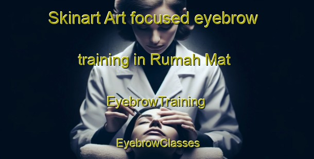Skinart Art-focused eyebrow training in Rumah Mat | EyebrowTraining | EyebrowClasses | SkinartTraining-Malaysia