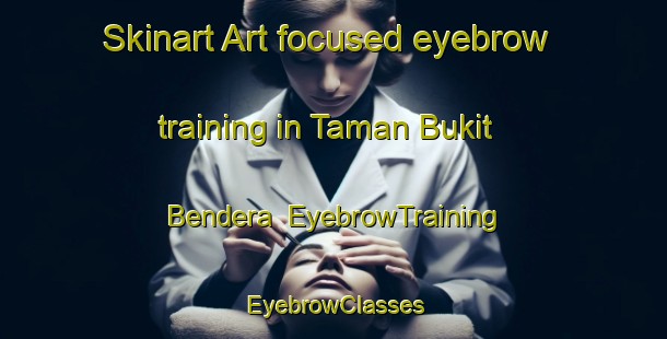 Skinart Art-focused eyebrow training in Taman Bukit Bendera | EyebrowTraining | EyebrowClasses | SkinartTraining-Malaysia