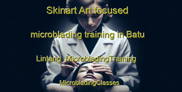 Skinart Art-focused microblading training in Batu Lintang | MicrobladingTraining | MicrobladingClasses | SkinartTraining-Malaysia