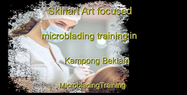 Skinart Art-focused microblading training in Kampong Beklam | #MicrobladingTraining #MicrobladingClasses #SkinartTraining-Malaysia