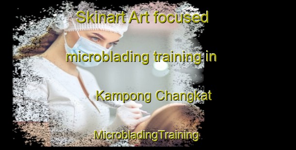 Skinart Art-focused microblading training in Kampong Changkat | #MicrobladingTraining #MicrobladingClasses #SkinartTraining-Malaysia