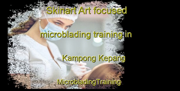 Skinart Art-focused microblading training in Kampong Kepang | #MicrobladingTraining #MicrobladingClasses #SkinartTraining-Malaysia