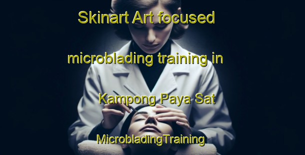 Skinart Art-focused microblading training in Kampong Paya Sat | #MicrobladingTraining #MicrobladingClasses #SkinartTraining-Malaysia