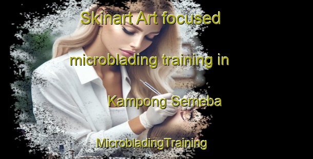 Skinart Art-focused microblading training in Kampong Semeba | MicrobladingTraining | MicrobladingClasses | SkinartTraining-Malaysia