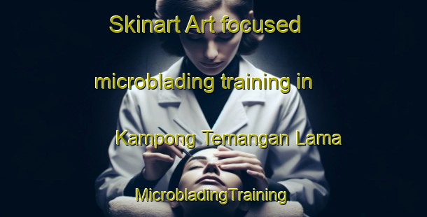 Skinart Art-focused microblading training in Kampong Temangan Lama | #MicrobladingTraining #MicrobladingClasses #SkinartTraining-Malaysia