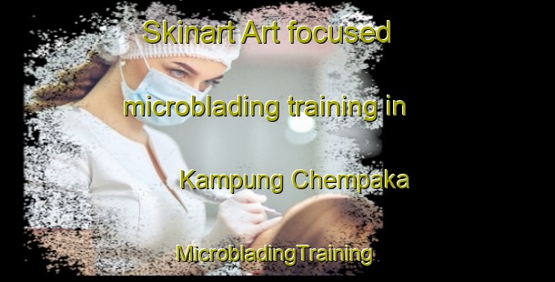 Skinart Art-focused microblading training in Kampung Chempaka | #MicrobladingTraining #MicrobladingClasses #SkinartTraining-Malaysia