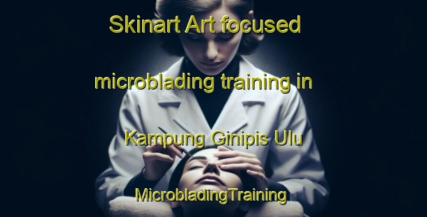 Skinart Art-focused microblading training in Kampung Ginipis Ulu | #MicrobladingTraining #MicrobladingClasses #SkinartTraining-Malaysia