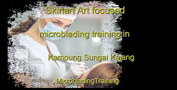 Skinart Art-focused microblading training in Kampung Sungai Kajang | #MicrobladingTraining #MicrobladingClasses #SkinartTraining-Malaysia