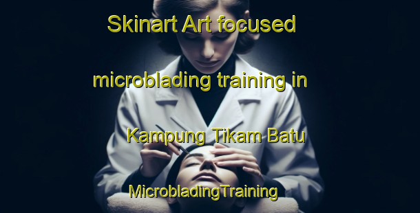 Skinart Art-focused microblading training in Kampung Tikam Batu | MicrobladingTraining | MicrobladingClasses | SkinartTraining-Malaysia