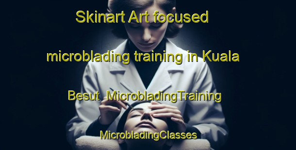 Skinart Art-focused microblading training in Kuala Besut | #MicrobladingTraining #MicrobladingClasses #SkinartTraining-Malaysia