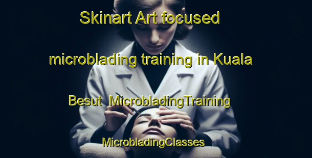 Skinart Art-focused microblading training in Kuala Besut | MicrobladingTraining | MicrobladingClasses | SkinartTraining-Malaysia