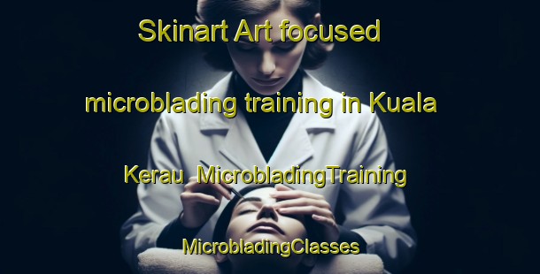 Skinart Art-focused microblading training in Kuala Kerau | #MicrobladingTraining #MicrobladingClasses #SkinartTraining-Malaysia