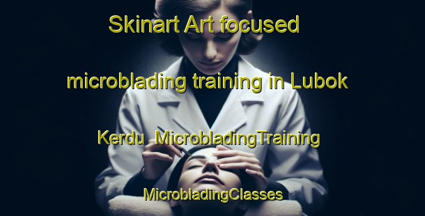 Skinart Art-focused microblading training in Lubok Kerdu | #MicrobladingTraining #MicrobladingClasses #SkinartTraining-Malaysia