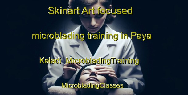 Skinart Art-focused microblading training in Paya Keladi | MicrobladingTraining | MicrobladingClasses | SkinartTraining-Malaysia
