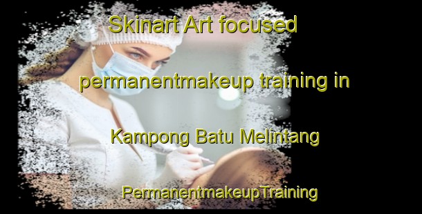 Skinart Art-focused permanentmakeup training in Kampong Batu Melintang | #PermanentmakeupTraining #PermanentmakeupClasses #SkinartTraining-Malaysia