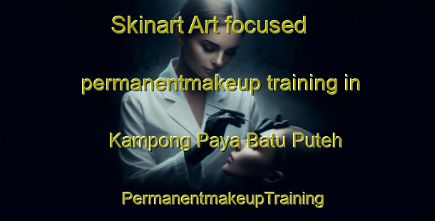 Skinart Art-focused permanentmakeup training in Kampong Paya Batu Puteh | PermanentmakeupTraining | PermanentmakeupClasses | SkinartTraining-Malaysia