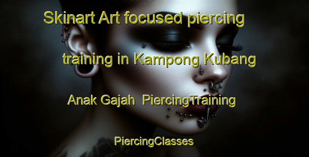 Skinart Art-focused piercing training in Kampong Kubang Anak Gajah | #PiercingTraining #PiercingClasses #SkinartTraining-Malaysia