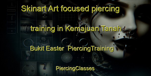 Skinart Art-focused piercing training in Kemajuan Tanah Bukit Easter | #PiercingTraining #PiercingClasses #SkinartTraining-Malaysia