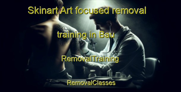 Skinart Art-focused removal training in Bau | RemovalTraining | RemovalClasses | SkinartTraining-Malaysia