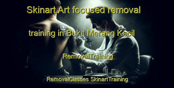 Skinart Art-focused removal training in Bukit Merang Kecil | #RemovalTraining #RemovalClasses #SkinartTraining-Malaysia