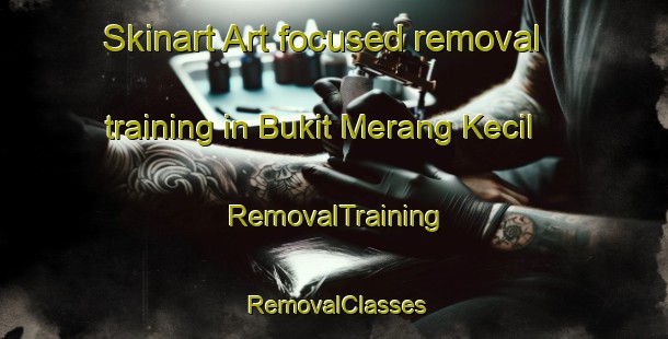 Skinart Art-focused removal training in Bukit Merang Kecil | RemovalTraining | RemovalClasses | SkinartTraining-Malaysia