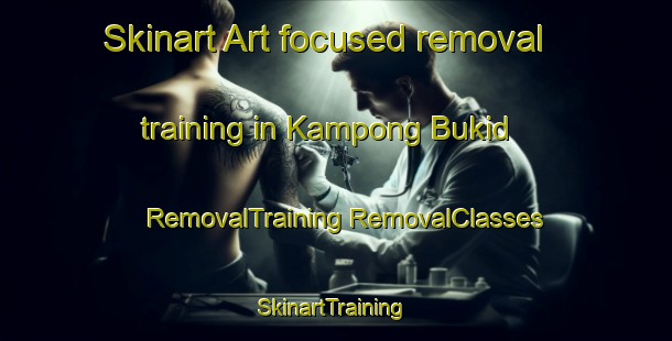 Skinart Art-focused removal training in Kampong Bukid | #RemovalTraining #RemovalClasses #SkinartTraining-Malaysia