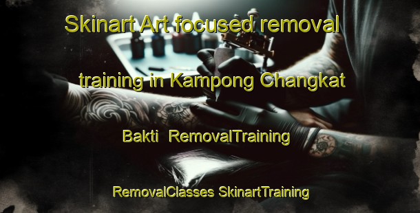 Skinart Art-focused removal training in Kampong Changkat Bakti | #RemovalTraining #RemovalClasses #SkinartTraining-Malaysia