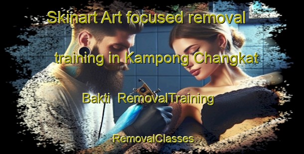 Skinart Art-focused removal training in Kampong Changkat Bakti | RemovalTraining | RemovalClasses | SkinartTraining-Malaysia
