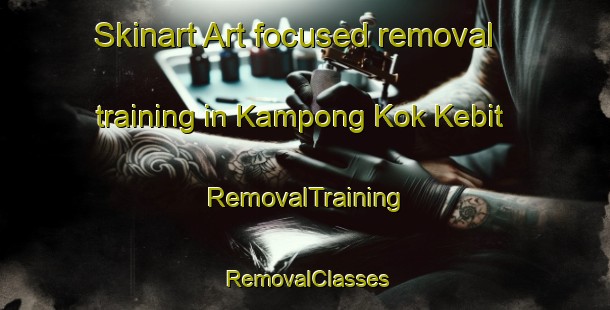 Skinart Art-focused removal training in Kampong Kok Kebit | RemovalTraining | RemovalClasses | SkinartTraining-Malaysia